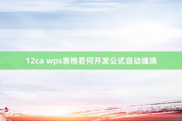 12ca wps表格若何开发公式自动缠绵