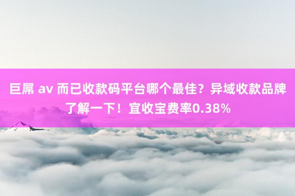 巨屌 av 而已收款码平台哪个最佳？异域收款品牌了解一下！宜收宝费率0.38%