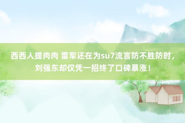 西西人提肉肉 雷军还在为su7流言防不胜防时，刘强东却仅凭一招终了口碑暴涨！