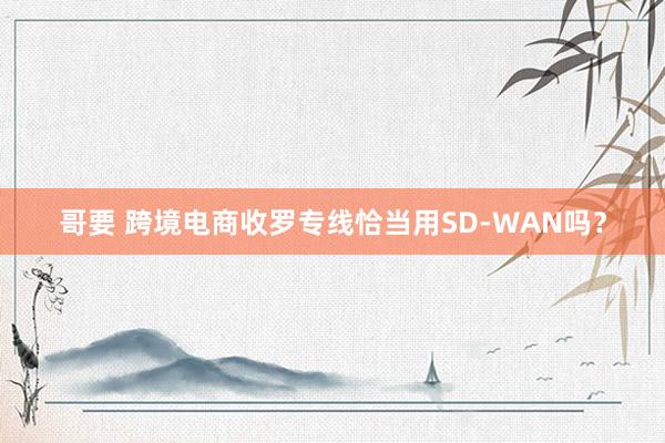 哥要 跨境电商收罗专线恰当用SD-WAN吗？