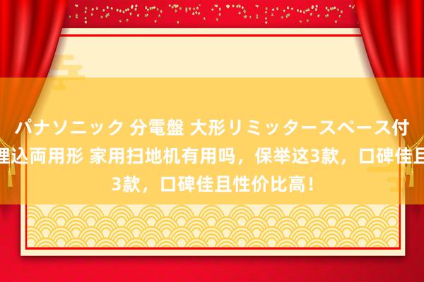 パナソニック 分電盤 大形リミッタースペース付 露出・半埋込両用形 家用扫地机有用吗，保举这3款，口碑佳且性价比高！
