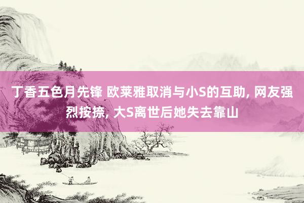 丁香五色月先锋 欧莱雅取消与小S的互助, 网友强烈按捺, 大S离世后她失去靠山