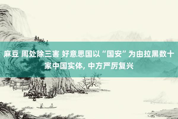麻豆 周处除三害 好意思国以“国安”为由拉黑数十家中国实体, 中方严厉复兴