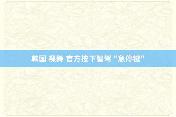 韩国 裸舞 官方按下智驾“急停键”