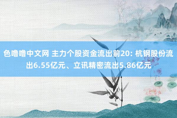 色噜噜中文网 主力个股资金流出前20: 杭钢股份流出6.55亿元、立讯精密流出5.86亿元