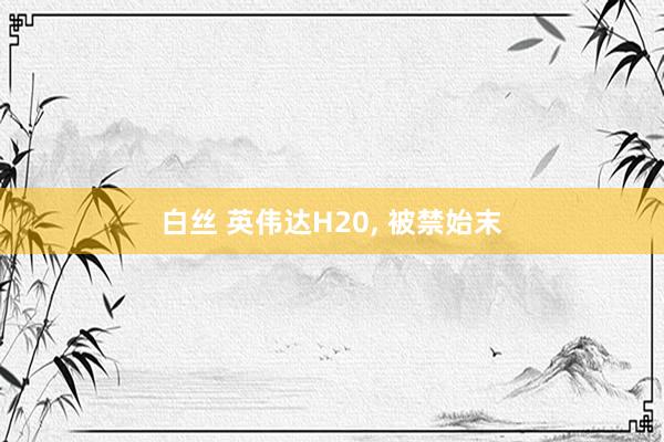 白丝 英伟达H20, 被禁始末