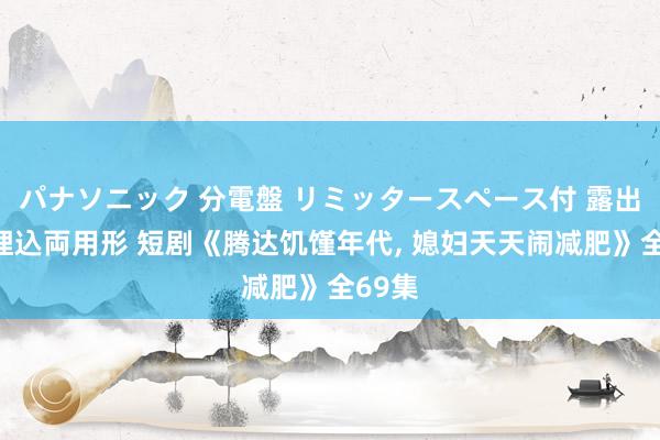 パナソニック 分電盤 リミッタースペース付 露出・半埋込両用形 短剧《腾达饥馑年代, 媳妇天天闹减肥》全69集