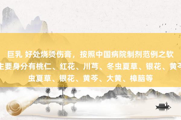 巨乳 好处烧烫伤膏，按照中国病院制剂范例之软膏剂要领制备，主要身分有桃仁、红花、川芎、冬虫夏草、银花、黄芩、大黄、樟脑等