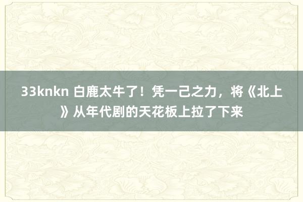 33knkn 白鹿太牛了！凭一己之力，将《北上》从年代剧的天花板上拉了下来