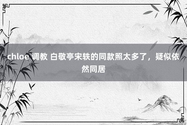 chloe 调教 白敬亭宋轶的同款照太多了，疑似依然同居