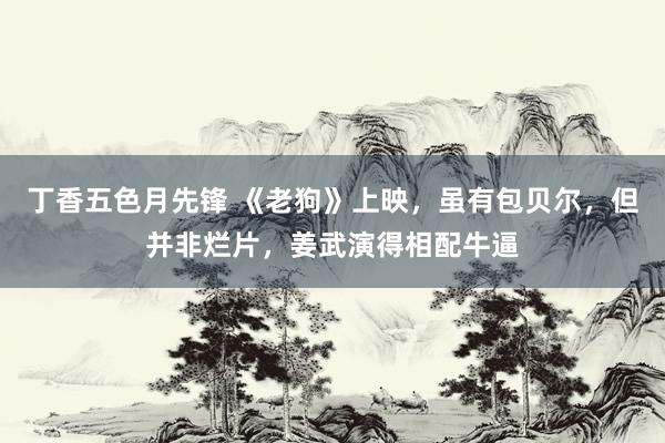 丁香五色月先锋 《老狗》上映，虽有包贝尔，但并非烂片，姜武演得相配牛逼